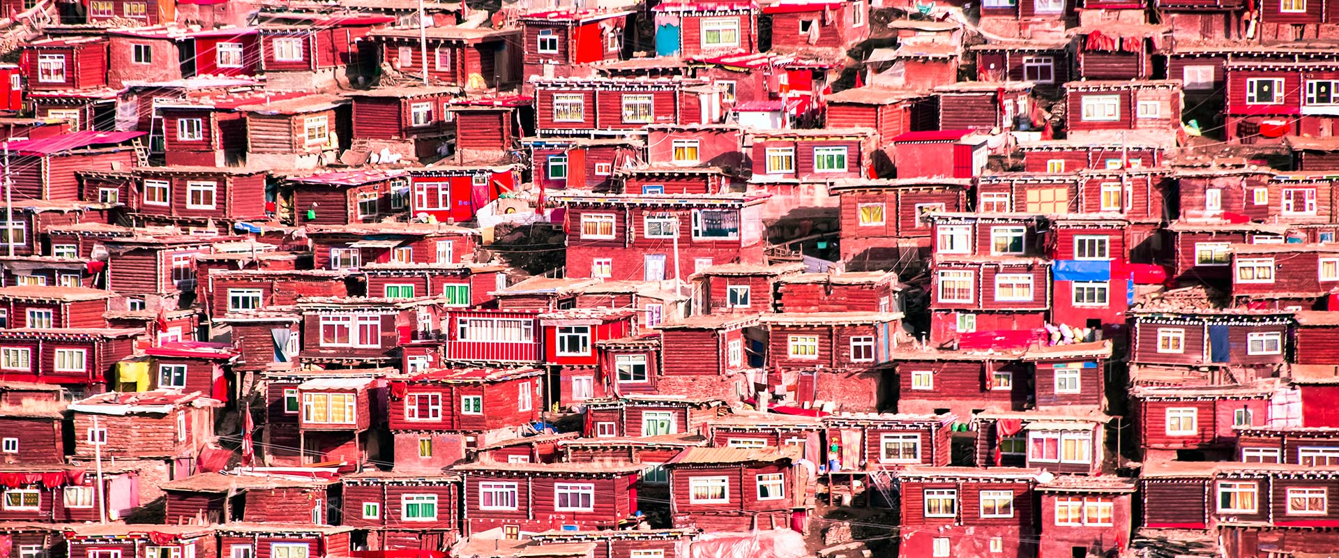 世间安得双全法